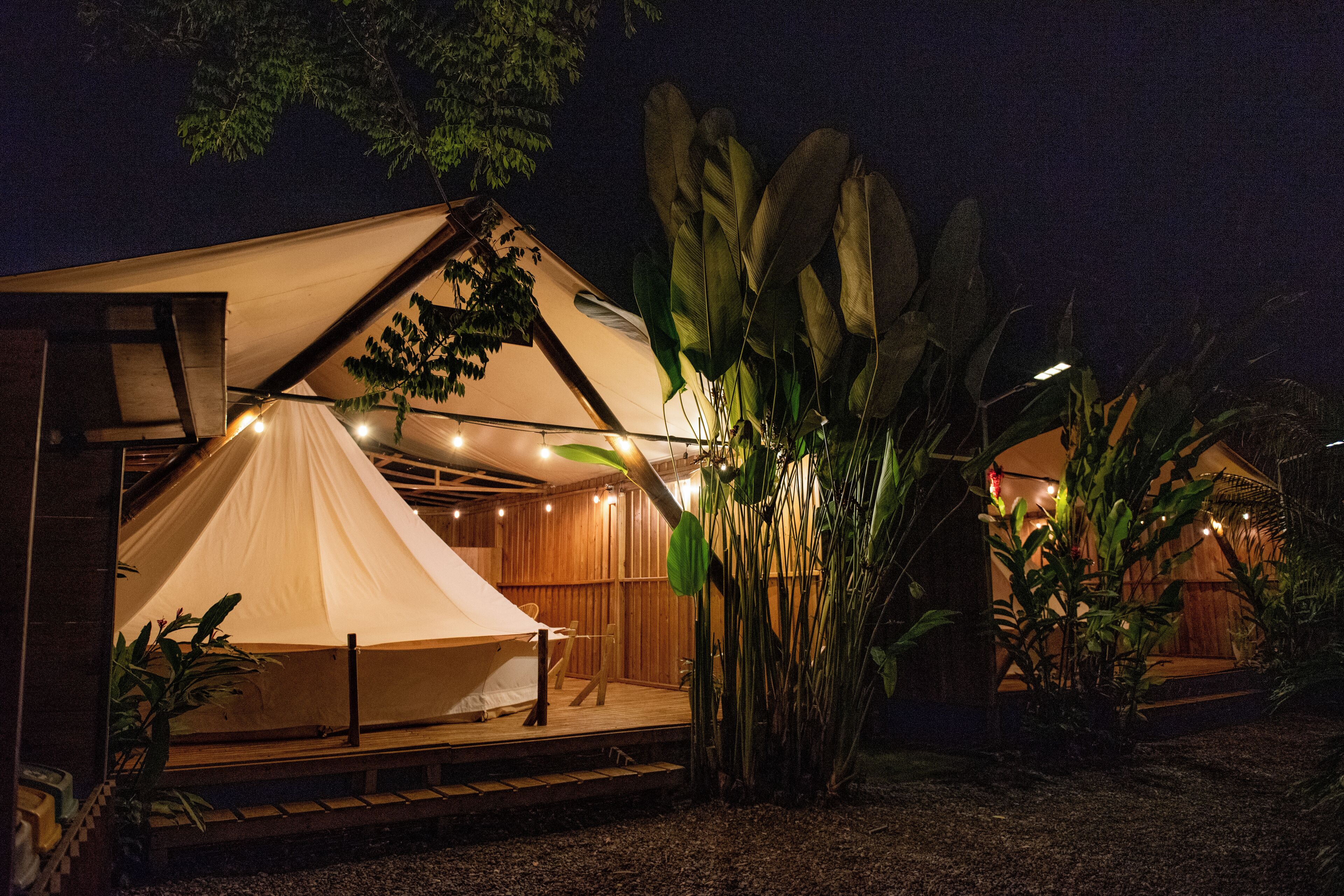A tented accommodation with a wooden deck, surrounded by large plants and a night sky.