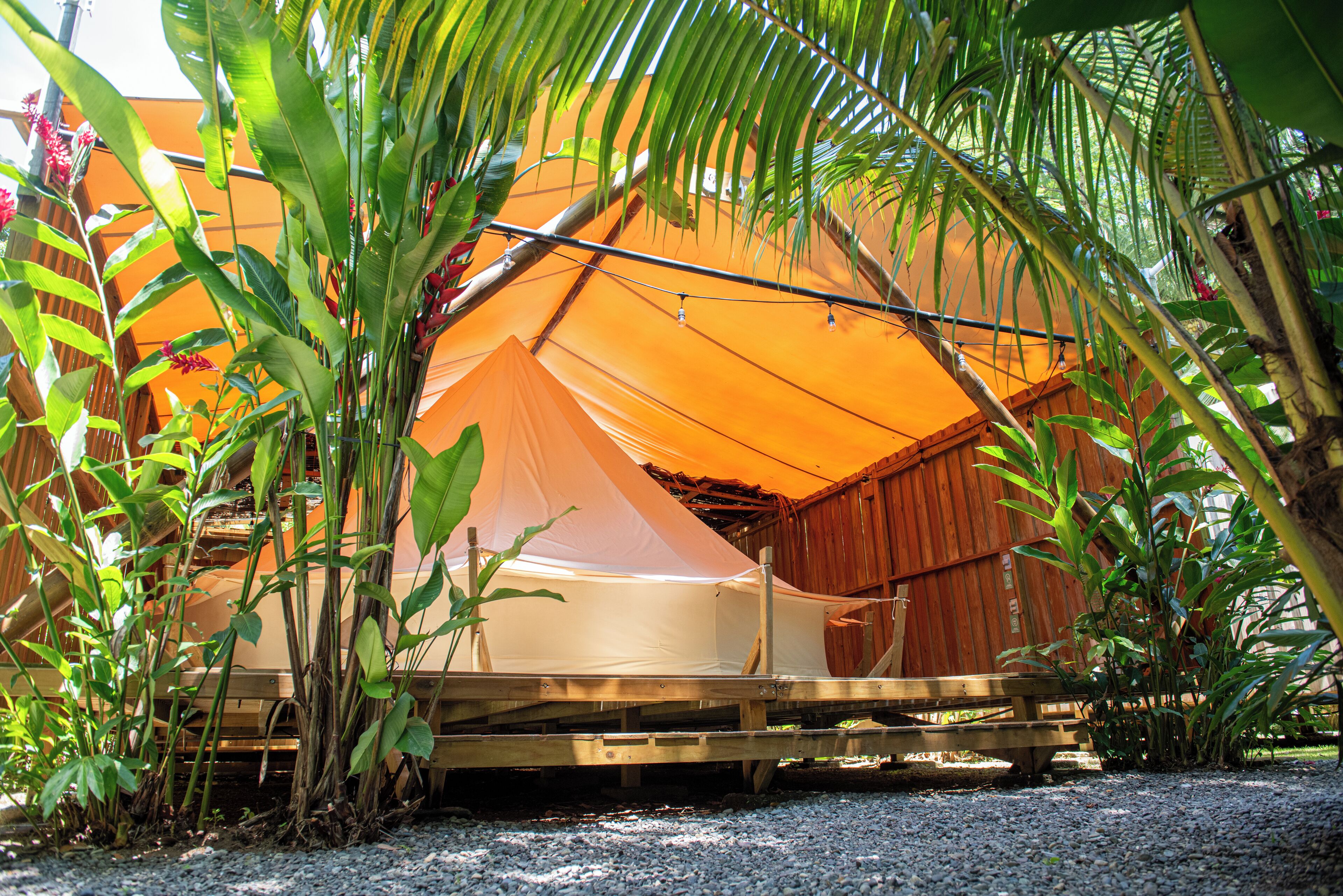 A tent with a wooden frame and a white canopy, surrounded by tropical plants.