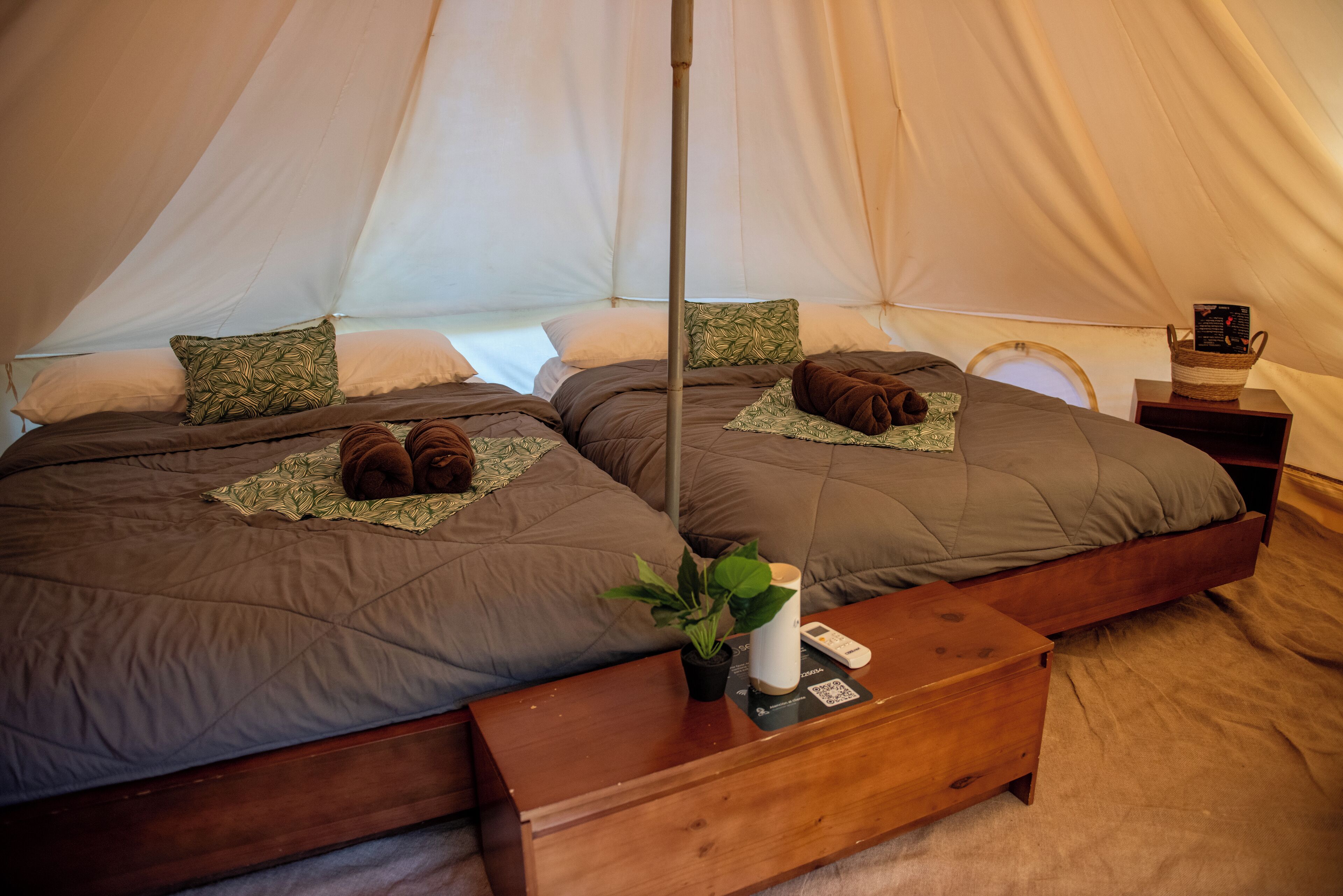 A tent with two beds, each with a brown quilt, pillows, and a small plant on a wooden nightstand.
