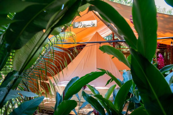 Barraca superluxo, 1 cama King | Roupas de cama premium, edredons de pluma, camas Select Comfort