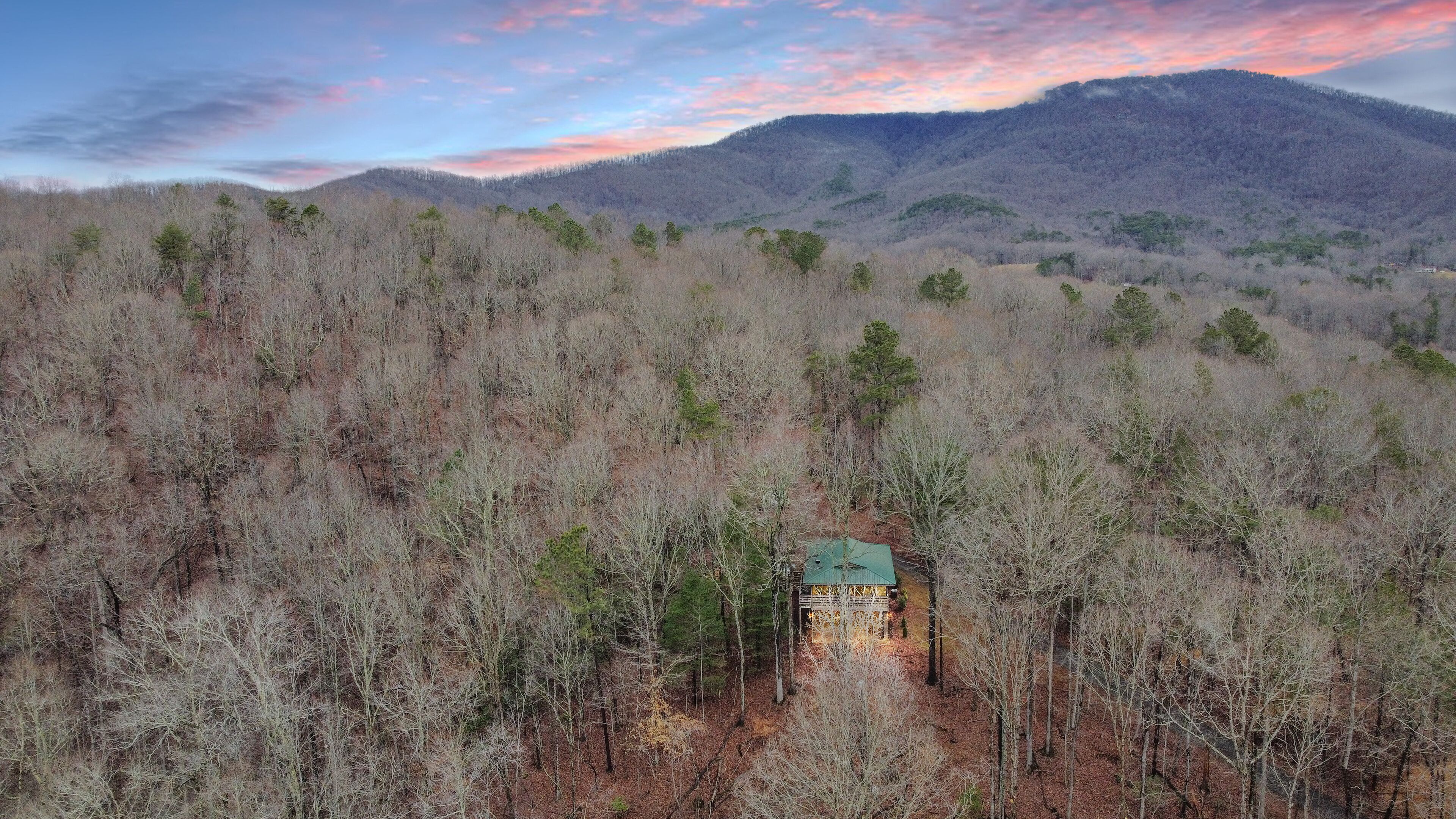 A cabin surrounded by a forest with a mountain in the background.
