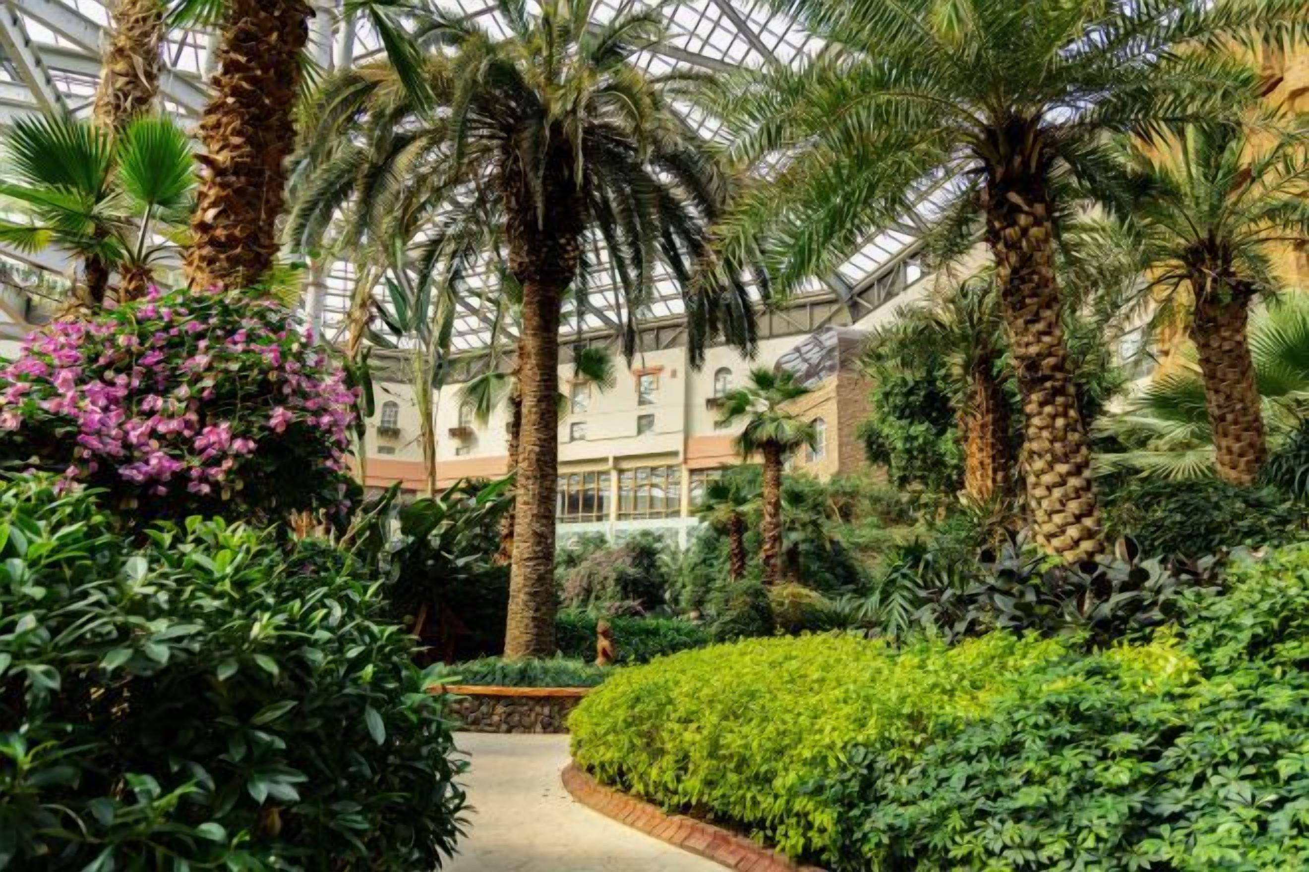 An indoor garden with palm trees, a pathway, and a conservatory structure.