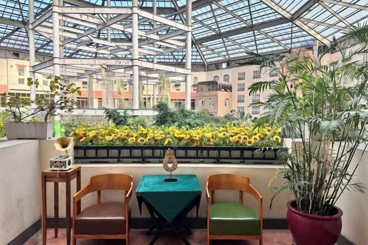 A balcony with a table and two chairs, a potted plant, and a view of buildings and sunflowers.