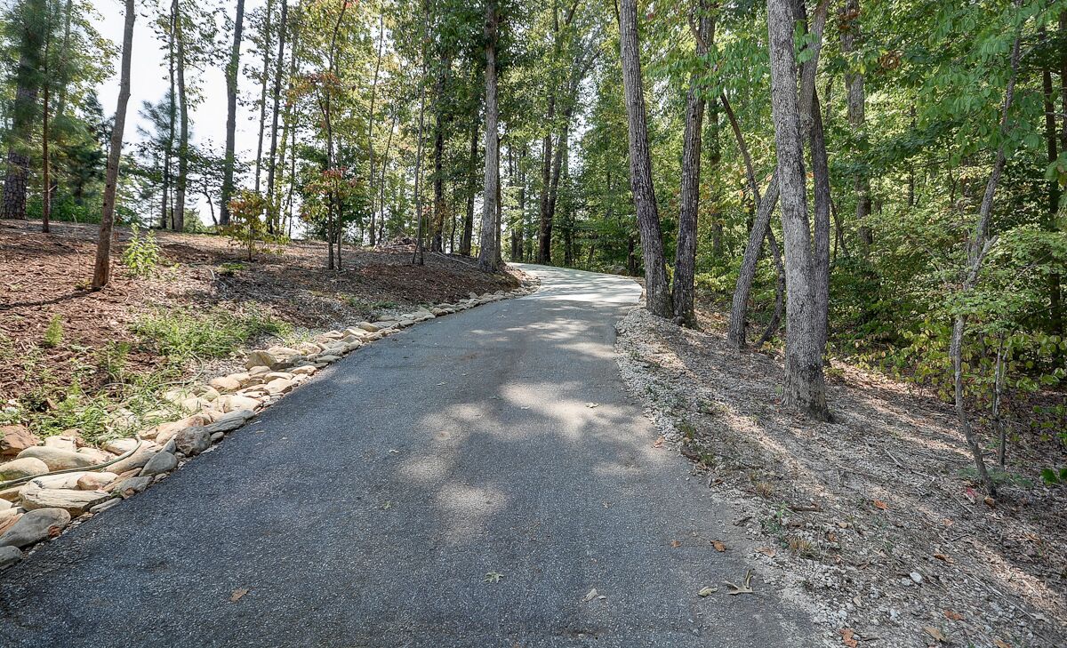 Un camino pavimentado en medio del bosque, flanqueado por árboles.