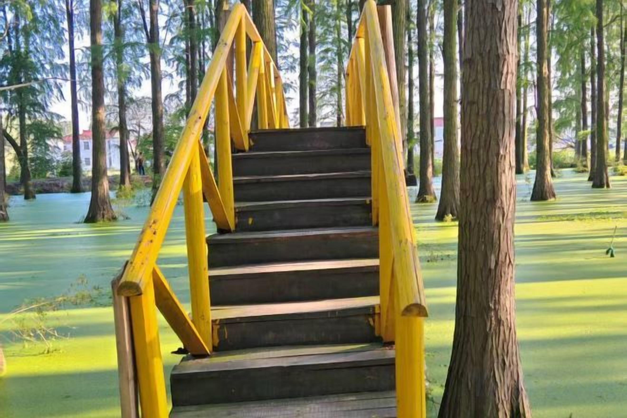 Una escalera de madera con barandillas amarillas que conduce a una plataforma.
