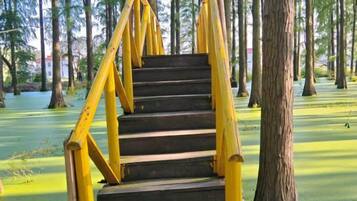 Una escalera de madera con barandillas amarillas que conduce a una plataforma.