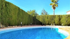 A swimming pool with a tiled edge, two glasses of blue liquid, and a palm tree in the background.