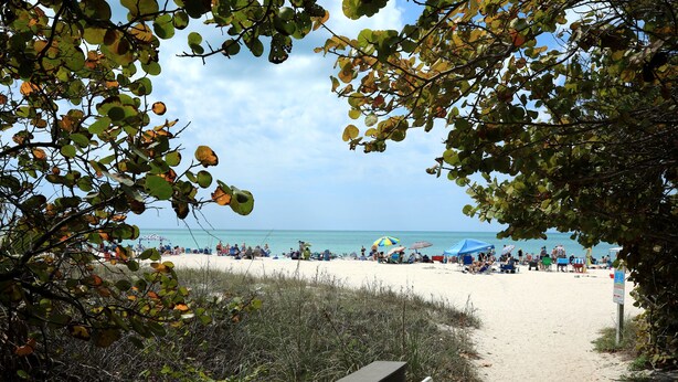 Un sentiero sulla spiaggia conduce a una spiaggia sabbiosa con ombrelloni e persone.