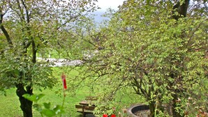 Un parco con un tavolo da picnic circondato da alberi e prato.