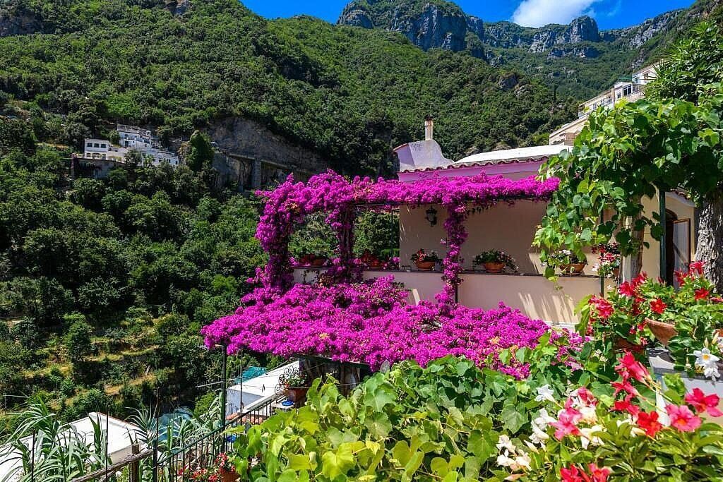 A building with a balcony covered in vibrant purple flowers, surrounded by lush greenery and mountains in the background.