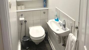Shower, hair dryer