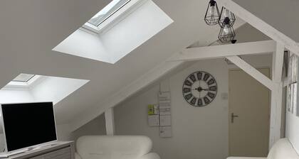 Appartement lumineux et rénové au pieds de lac et montagne