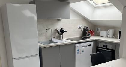 Appartement lumineux et rénové au pieds de lac et montagne