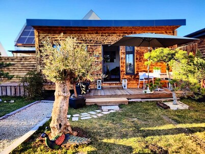 Tinyhouses on Lake Neusiedl