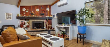 Smart TV, fireplace, ping pong, books