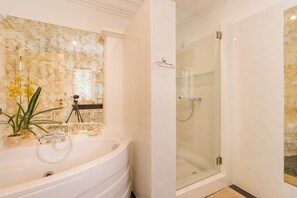 Bathtub, hair dryer, towels, toilet paper