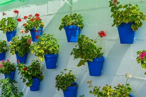 Exterior detail - Rural Holiday Home "Casita de la Cantera" with Pool & Wi-Fi (La Lantejuela)