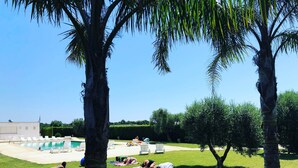 Un espace piscine avec des chaises longues et une pelouse verdoyante, entouré de palmiers et d’une haie.