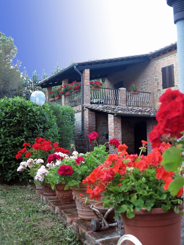 Exterior detail - Exclusive Rental for Families or Groups in the heart of Tuscany (Montaione)