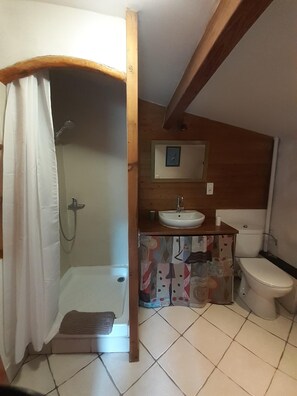 A bathroom with a shower, toilet, sink, and a mirror.