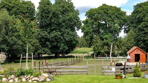 A fenced outdoor area with a wooden structure, a horse, and a small shed.