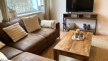 Télévision, lecteur de DVD, baby-foot, table de tennis de table