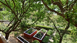 Ein Garten mit erhöhten Beeten und einem gepflasterten Weg.