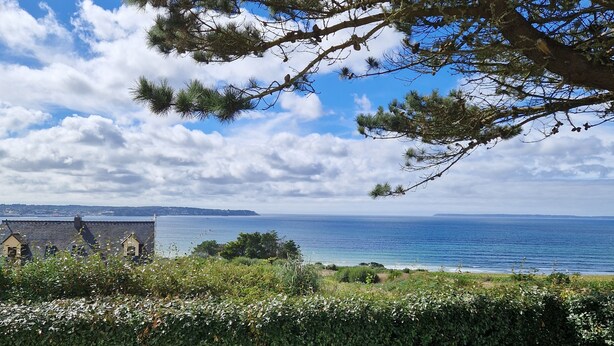 Un paisaje costero con un seto, un árbol y una vista distante del mar y edificios.