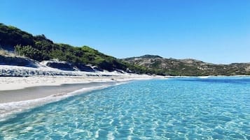 Playa en los alrededores