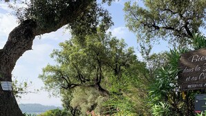 Uma trilha com uma cesta de vime, rodeada por árvores e arbustos, leva a uma placa indicando área reservada.