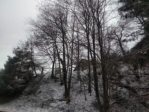 A forested area with snow-covered ground and leafless trees.