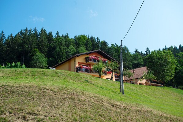 A hillside building with a balcony adorned with flowers, surrounded by a forested area.