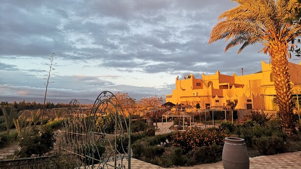 A courtyard with a palm tree, a checkered floor, and a building with a flat roof. - Maisonette with terrace in riad with swimming pool and farmhouse (Taroudant)