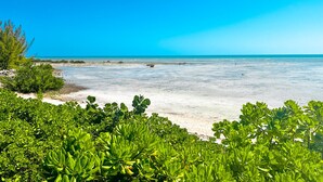 Una playa con aguas azul turquesa, orilla arenosa y abundante vegetación verde.