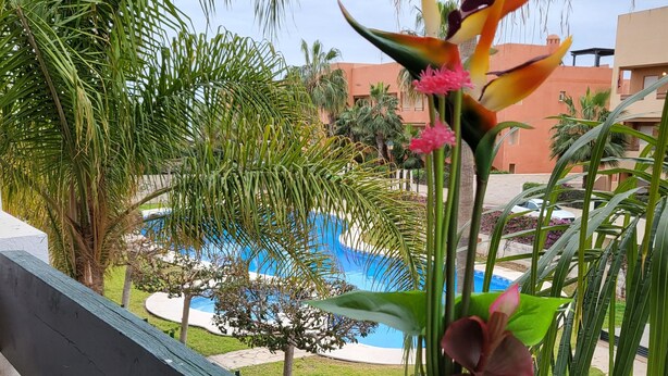 Ein Balkon mit einem Blumentopf, einem Pool und umliegenden Palmen.