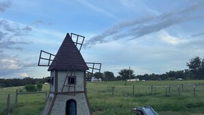 A windmill with a ladder and a slide in a grassy field. - Relaxing Cottage Near Fishhawk (Lithia)