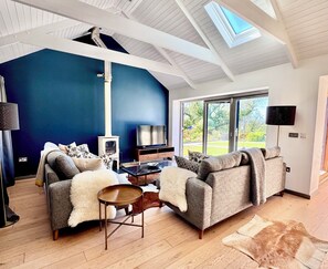 TV connectée, cheminée