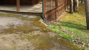 Une cabane rustique avec un toit végétalisé, un revêtement extérieur en bois et une véranda dotée d’une balustrade.