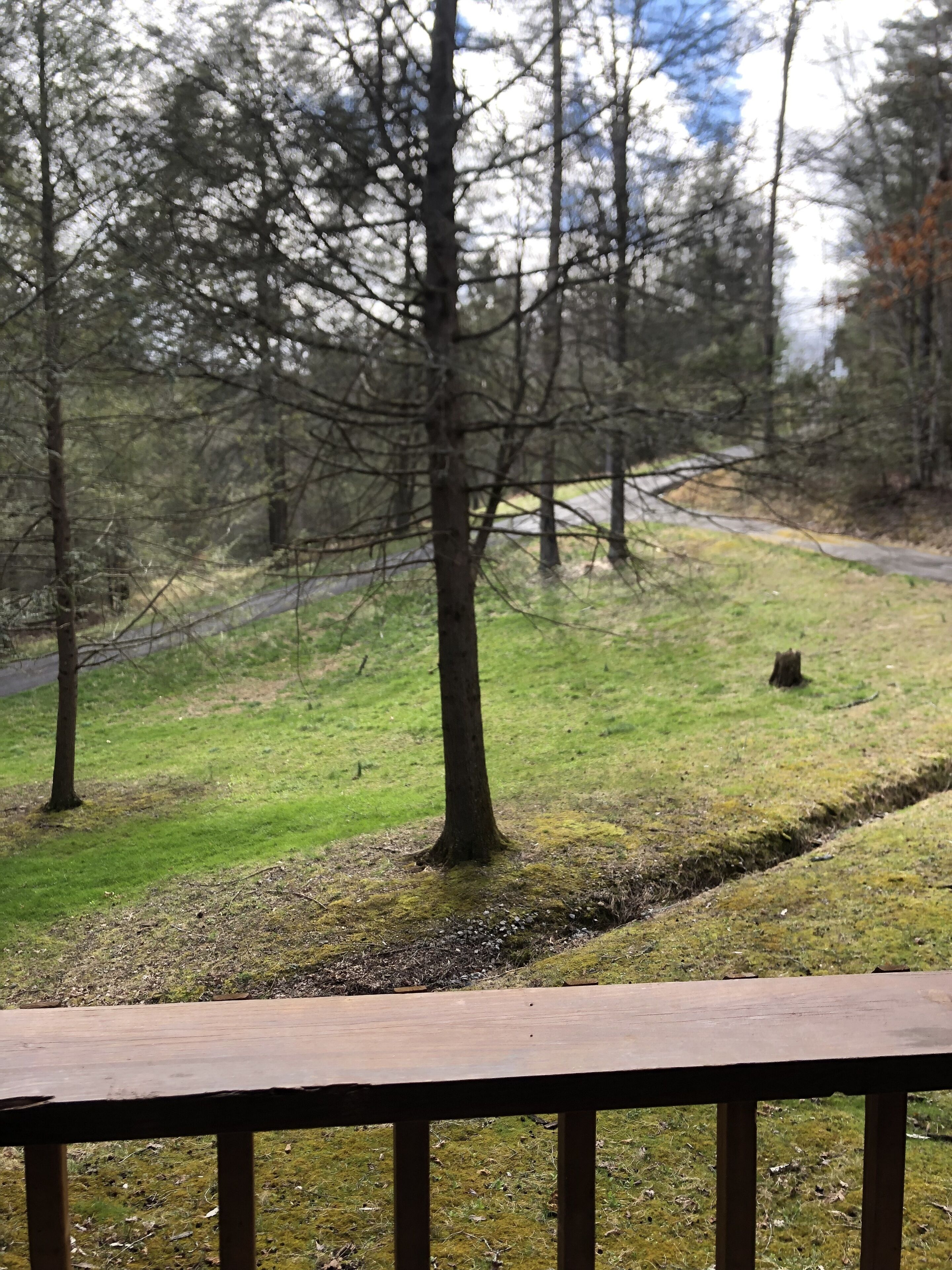 A wooden deck with a view of a grassy area and trees.