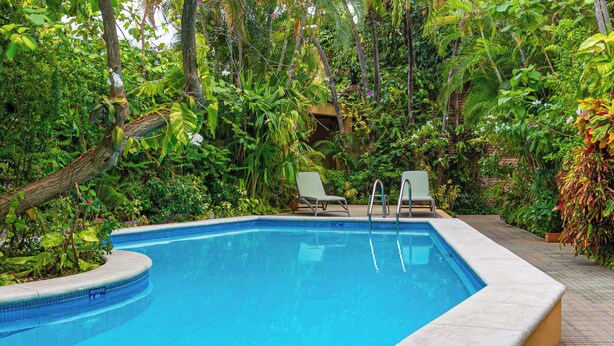 Une piscine rectangulaire dont le bord est recouvert de carreaux, entourée d’une végétation luxuriante et agrémentée de deux chaises longues vides.