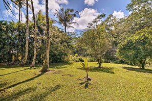 Property grounds - Sunny Pahoa Retreat: Snorkel, Hike & Shop! (Pāhoa)