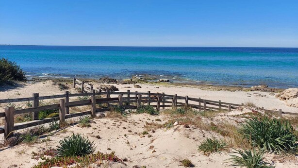 Una playa arenosa con una valla de madera y vegetación escasa.