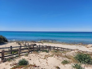 Une plage de sable bordée d’une clôture en bois et où la végétation est clairsemée.