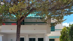 Un patio con suelo de baldosas, paredes blancas y un árbol que da sombra.