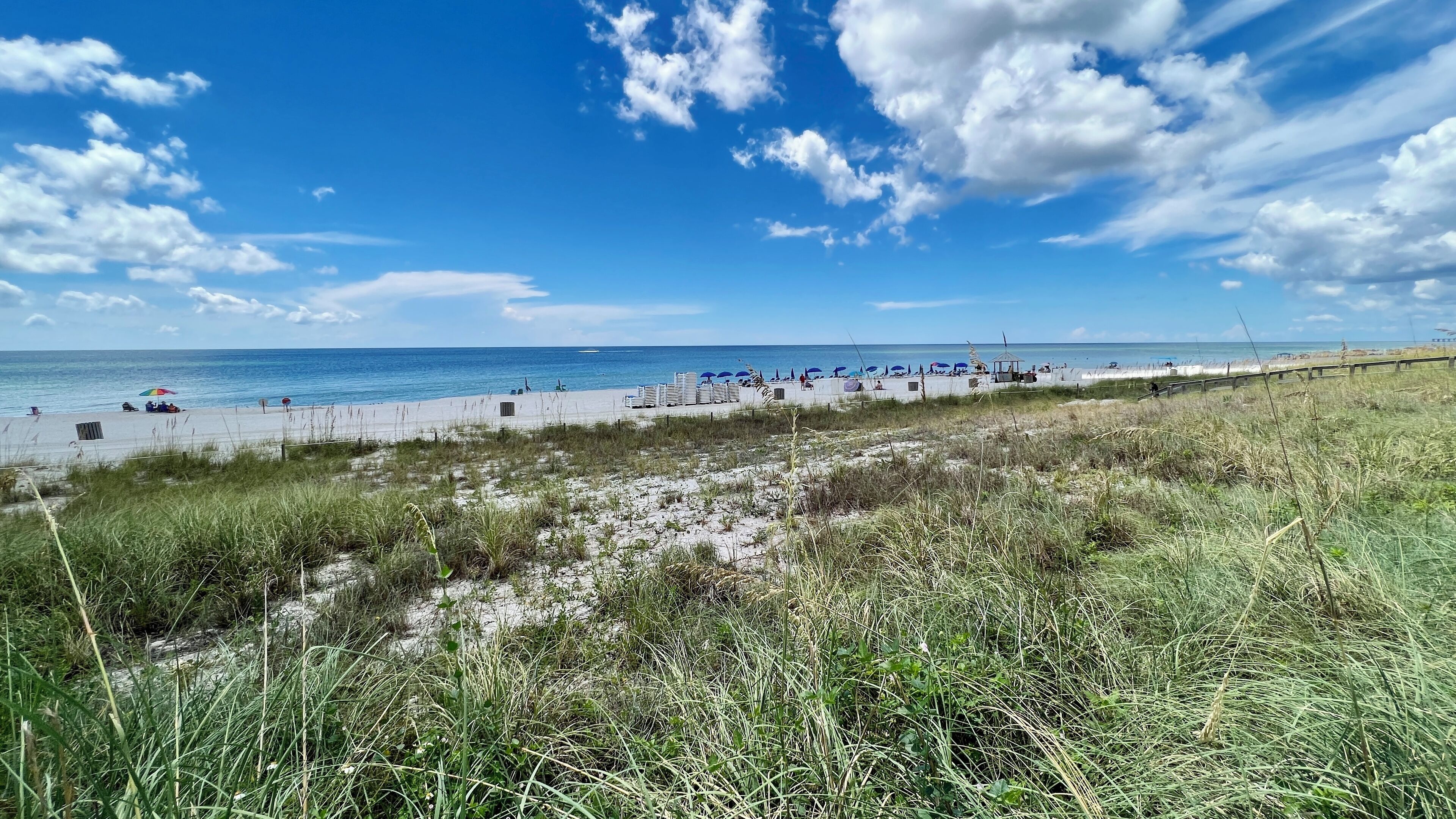 Une plage avec un ciel dégagé, un rivage sablonneux et quelques touffes d’herbe au premier plan.