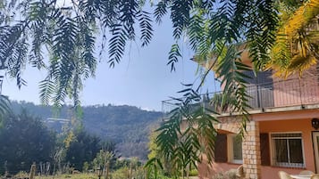 Área da propriedade