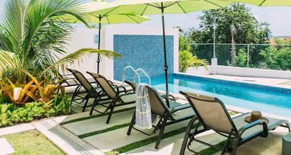 Apt #8 Luxurious 1BR corner unit Frigate Bay, Ten-minute Walk to the Beach.