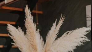 A table set with white plates, a tall vase with pampas grass, and multiple white candles. - Villa Melani (Oriovac)