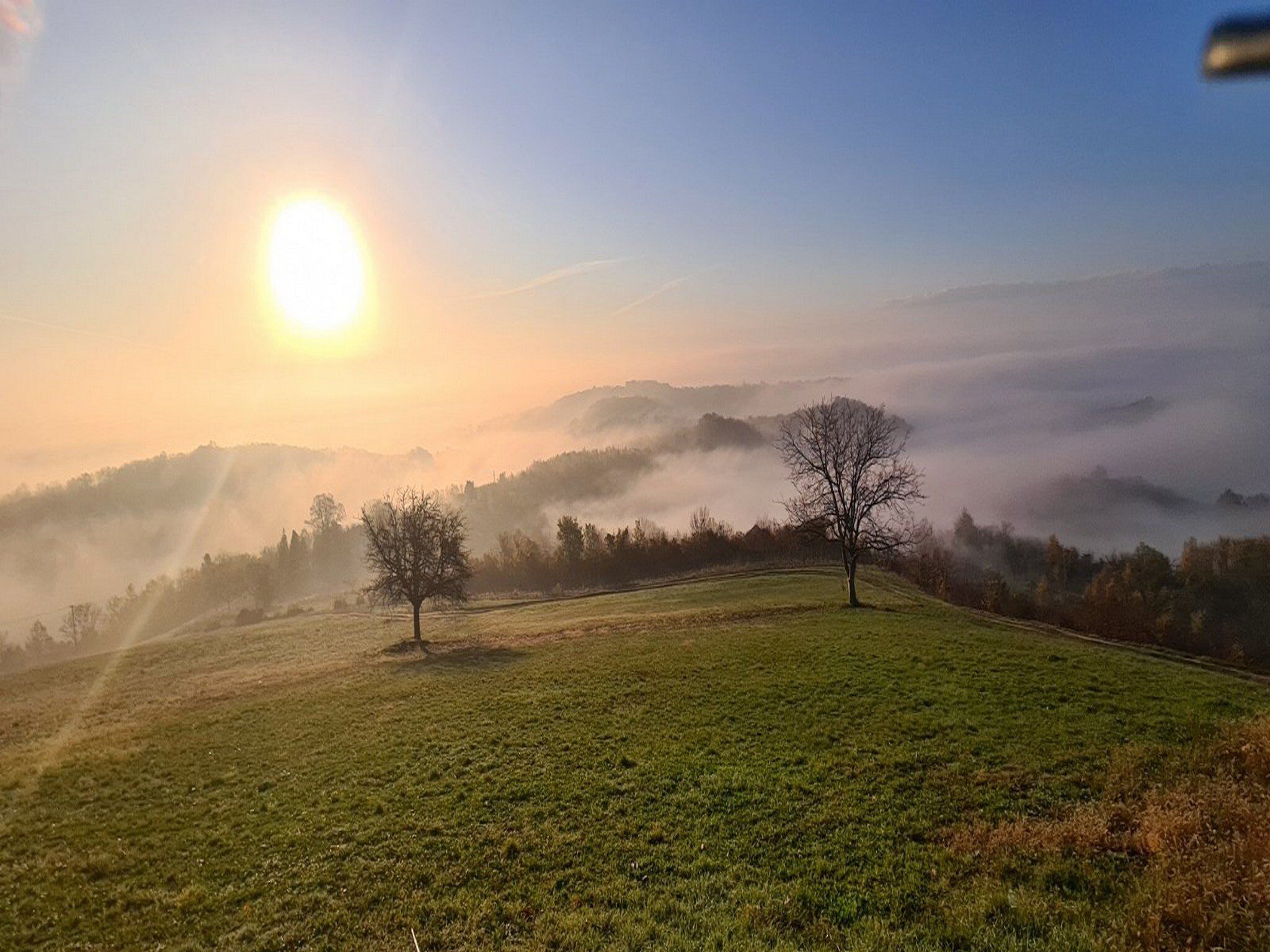 A grassy field with a clear sky and the sun low on the horizon.