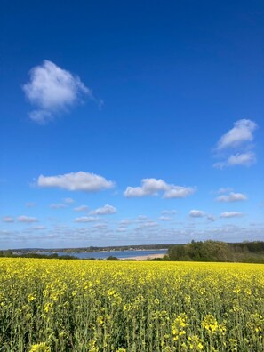 Miscellaneous - Time for two (Brandenburg an der Havel)